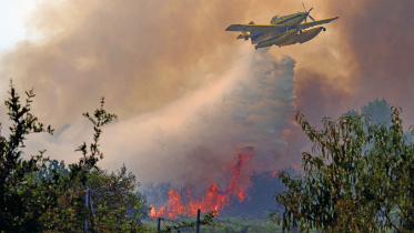 wildfires.jpg