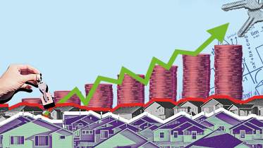 COVER-ILLUSTRATION.jpg