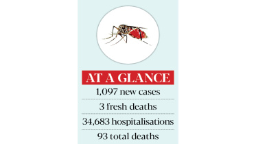 Dengue.jpg