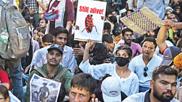 Indias-Gen-Z-Cockroach-Janta-Party.jpg
