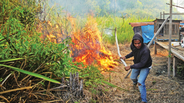 Indonesia.jpg