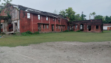 MT Hossain Institute1.jpg