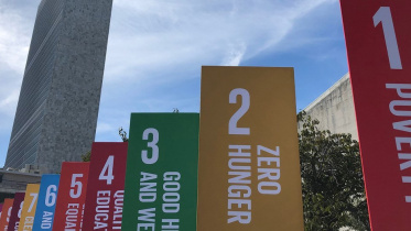 SDG goals.jpg