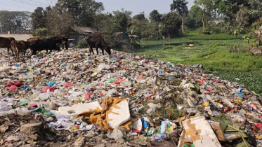 Trishal,-Mymensingh.jpg