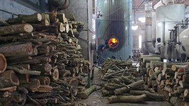 Narsingdi Textile Mills Gas Crisis