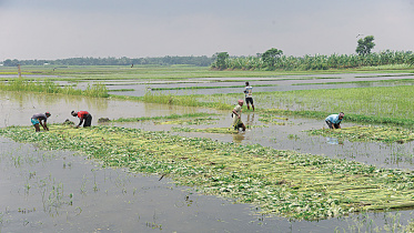 agricultural-and-rural-credit.jpg