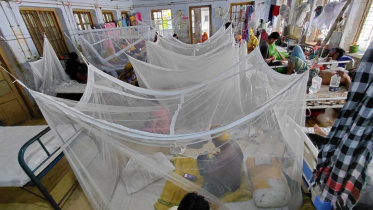 dengue-surge-khulna.jpg