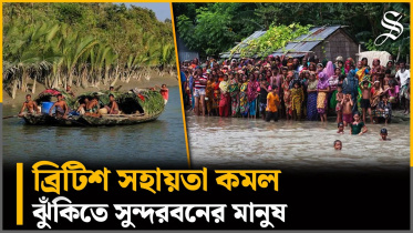sundarbans.jpg