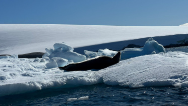 Bangladesh to Antarctica Planning the journey to the end of the world