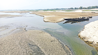 Teesta dried (2).jpg