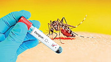dengue deaths Bangladesh October 2026