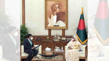 6846056_New Project.jpg