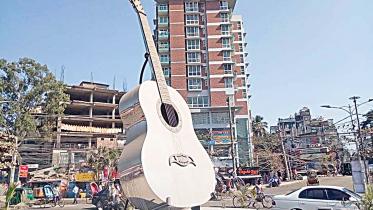 Rupali-Guitar.jpg