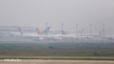 nib_photo_dec_28 (1).jpg