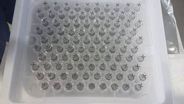 SA vaccine arrests 3.jpg