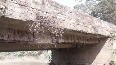 Ramshackle-bridge-Jhenidah.jpg