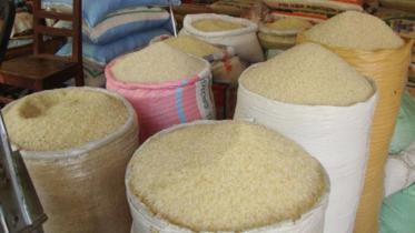 rice_9.jpg