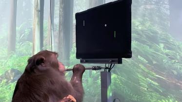elon-musk-NeuraLink-monkey-mind-control-game-video--scaled.jpg