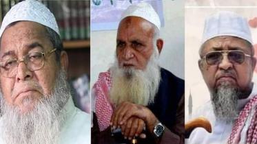 hefajat collage.jpeg