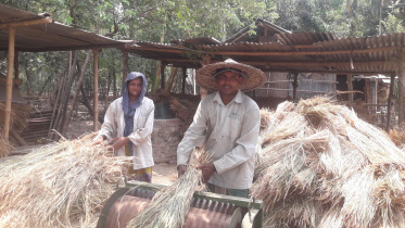 Jhenidah-Aman-growers.jpg