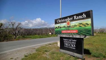 Christopher-Ranch-garlic-farm.jpg
