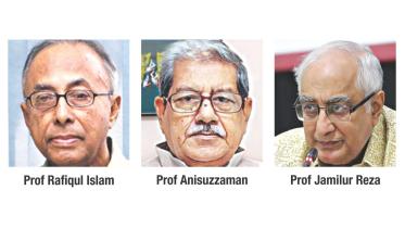 3 national professor.jpg