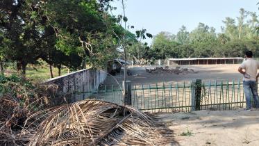 Deer killed_Rajshahi