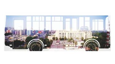 A Beginner's Guide to Public Transports