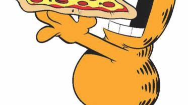 A Day in the Life of Food Hoarder