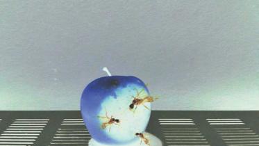 A light dimmed, a friend buried