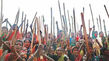 A Revolution Hundred Years in The Making