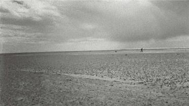 A walk in the wake of destruction