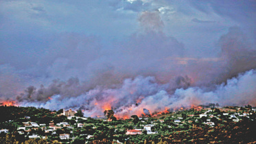 A wildfire rages.jpg