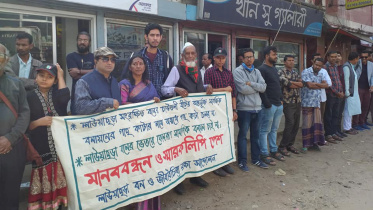 Abandon fell trees Lawachhara forest.jpg