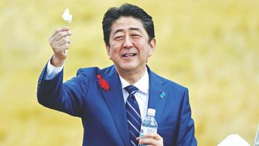Abe.jpg
