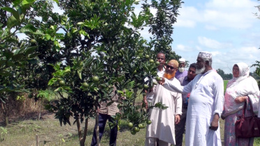 Abul Mansur Ahmed.jpg