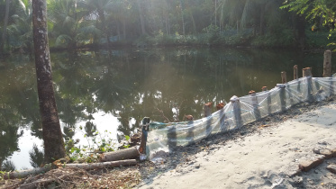 Aftermath Cyclone Bulbul 1.jpg