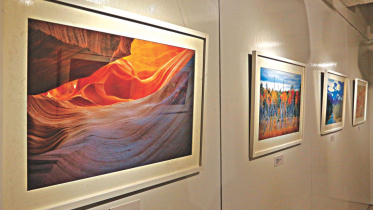 american landscape.jpg