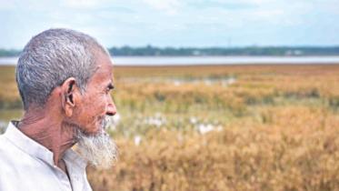 An elderly farmer.jpg