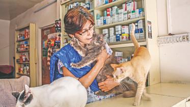 animal pharmacy 1.jpg