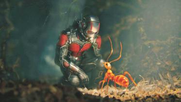 Ant Man