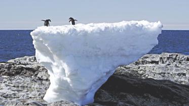 antarctica.jpg