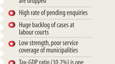 anti graft.jpg