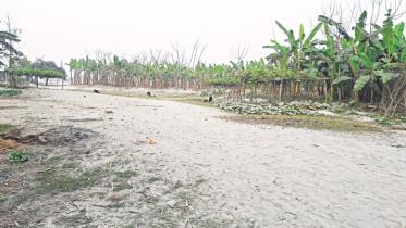 arable land sandy.jpg