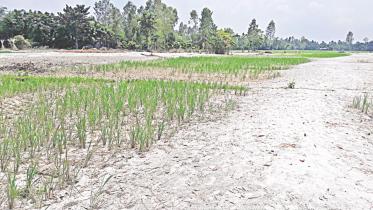 Arable lands sand.jpg