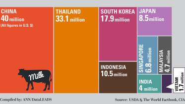 asia-milk-production