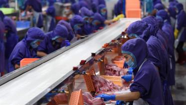 Asia business sentiment.JPG