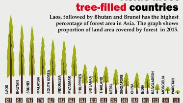 Asia’s most tree-filled countries