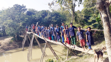 Bamboo bridge.jpg