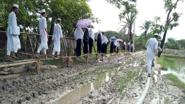 bamboo bridge muddy road.jpg